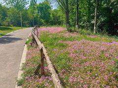 -白鹭湾湿地公园