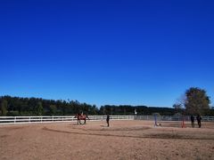 -月河湾马术俱乐部(朝阳店)