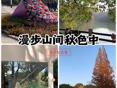 -白马涧龙池景区
