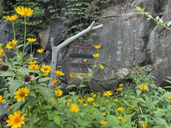 -北京水岸山吧度假村(雁栖镇店)