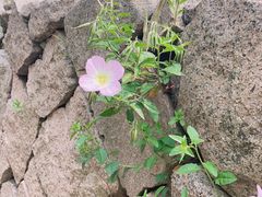 -滆湖低碳生态公园
