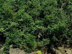 -安吉龙王山峡谷漂流