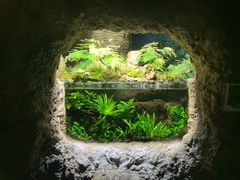 -杭州长乔极地海洋公园