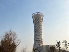 -上海滨江森林公园