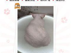 -囡的喵喵酱·萌宠生活馆·宠物洗护美容(胶州路店)