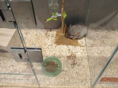 -狗道宠物(常熟印象城店)