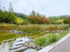 -大望京公园