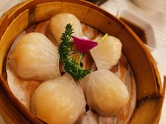 招牌虾饺皇-江南村酒家