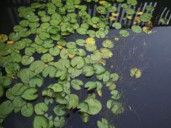 -苏州河梦清园环保主题公园