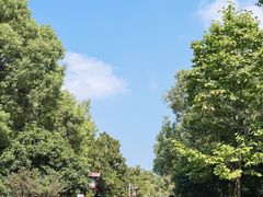 -山湖温泉