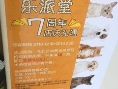 -乐派堂宠物医院·猫友好· 心脏科(东街店)