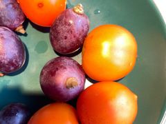 -大鸭梨烤鸭(枣园店)