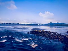 -深圳湾公园(南山区)