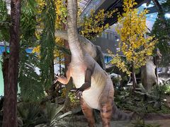 -湖南省地质博物馆