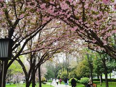 -唐城墙遗址公园