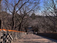 -沈阳市东陵公园