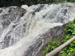 -莫里热带雨林景区