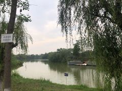 -白鹭湾湿地公园