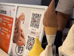 -野人先生现做冰淇淋(北京顺义祥云小镇店)