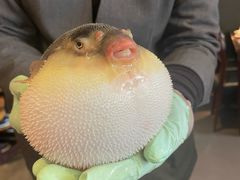 -永安鱼庄·镇江菜(东吴路店)