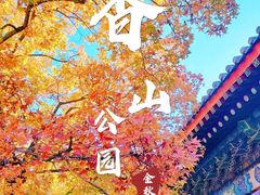 -香山公园-东宫门售票处