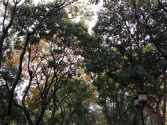 -苏堤停车场