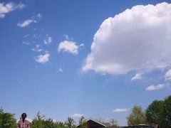 -永定河休闲森林公园