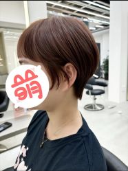 -蚂蚁造型俱乐部