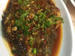 -龙小海荆沙鸽子店(瑞安街店)