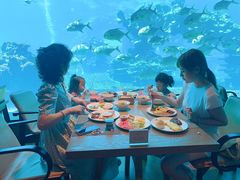 -海棠湾洲际-涛·海底餐厅·美人鱼·自助餐·海底隧道