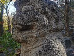 -大觉寺-停车场