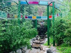 -十渡东湖港风景区