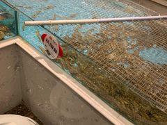 水产区-香融府·烤鸭·家常菜(马家堡路店)