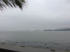 -野狸岛