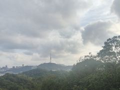 -野狸岛
