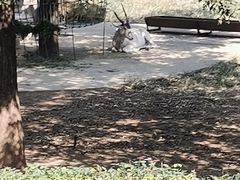 -石家庄市动物园