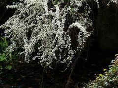 -中国茶叶博物馆(双峰馆区)