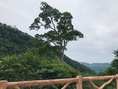 -海南热带雨林国家公园吊罗山景区