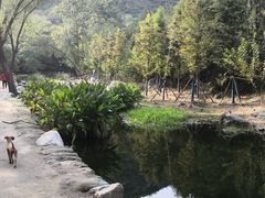-白水寺森林公园