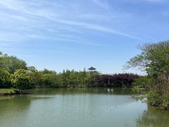 -苏州太湖国家湿地公园