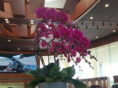-上海东昌雷克萨斯(沪南路店)