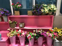 -MINI MARS KIDS CLUB亲子家庭中心(长宁天山店)
