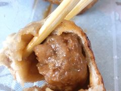 鲜肉生煎-大壶春生煎(四川中路店)