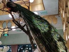 -雀蓝川菜(奥体广场店)