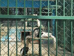 -秦皇岛野生动物园