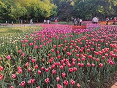 -长春公园(普阳街道)