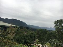 -熊猫主题餐厅