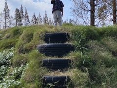 -前小桔亲子创意农场·草莓采摘·露营烧烤