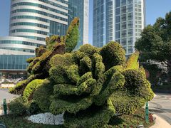 -富豪会展公寓酒店·富豪轩