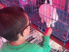 -季高兔窝窝亲子园(上海薰衣草公园店)